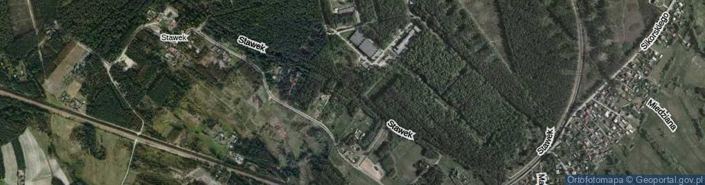 Zdjęcie satelitarne Stawek ul.